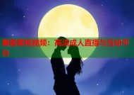 黑客蜜桃视频：高清成人直播与互动平台