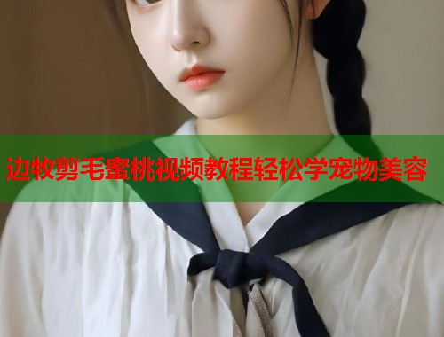 边牧剪毛蜜桃视频教程轻松学宠物美容  第2张