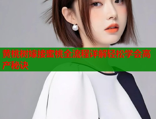 黄桃树嫁接蜜桃全流程详解轻松学会高产秘诀  第1张